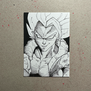 Vegito  V1